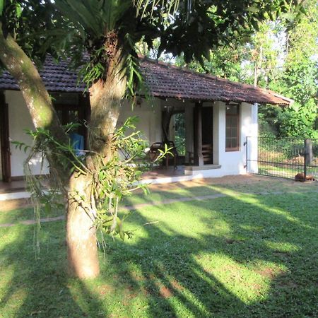 Sagala Bungalow كالوتارا المظهر الخارجي الصورة